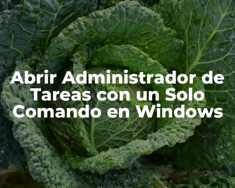 Abrir Administrador de Tareas con un Solo Comando en Windows