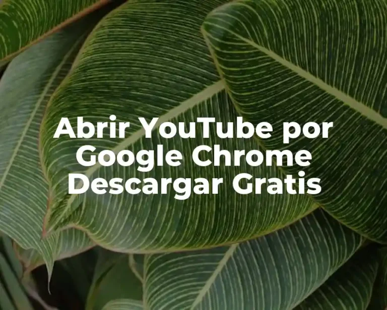 Abrir YouTube por Google Chrome Descargar Gratis