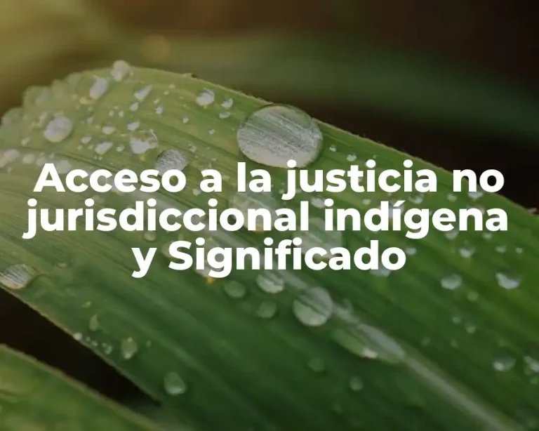 Acceso a la justicia no jurisdiccional indígena y Significado