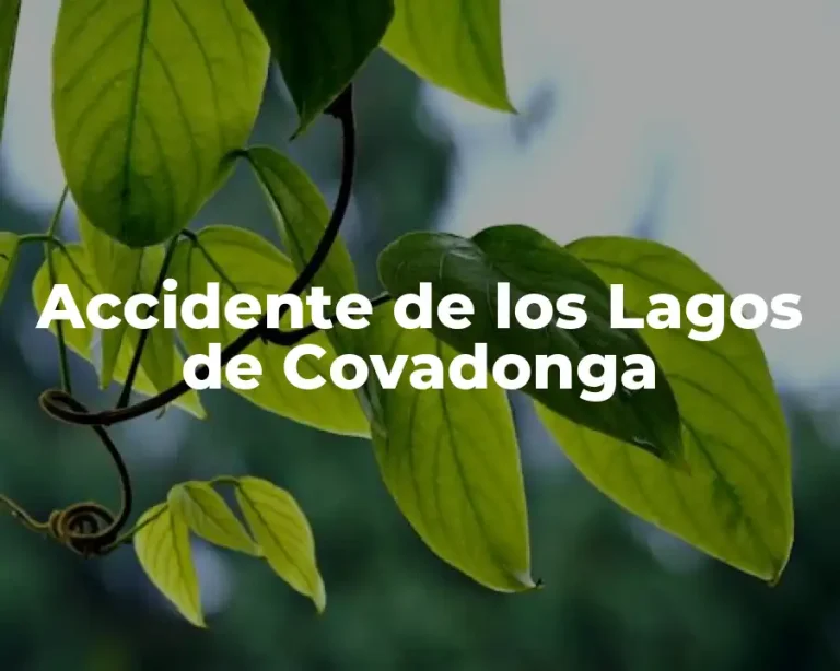 Accidente de los Lagos de Covadonga