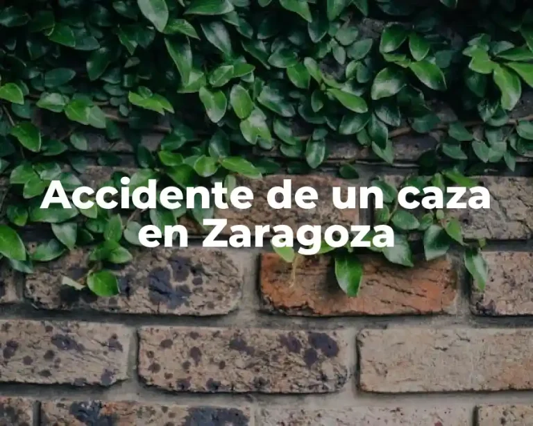 Accidente de un caza en Zaragoza