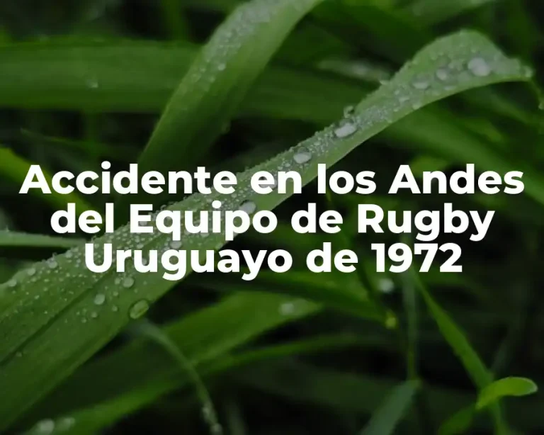 Accidente en los Andes del Equipo de Rugby Uruguayo de 1972