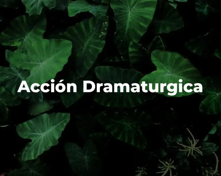 Acción Dramaturgica