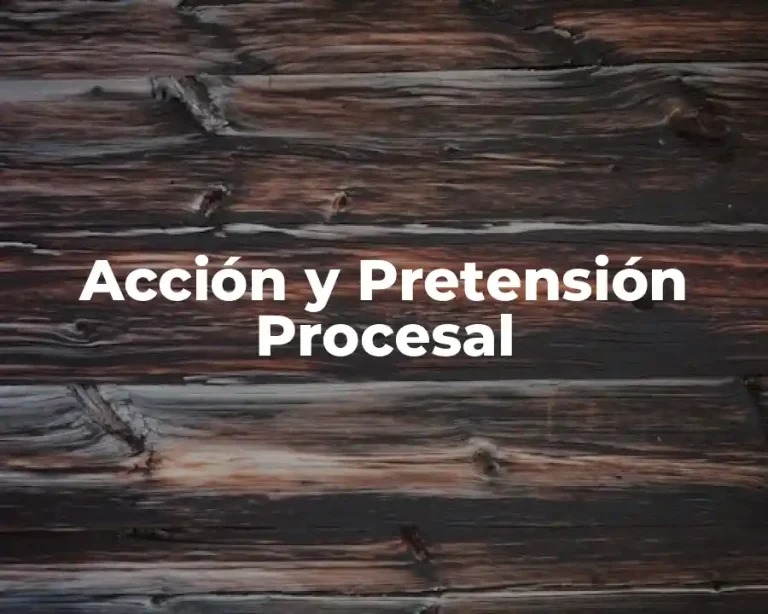 Acción y Pretensión Procesal