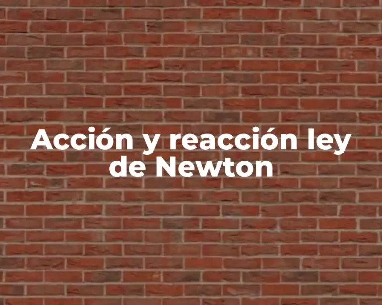 Acción y reacción ley de Newton