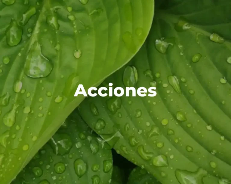 Acciones