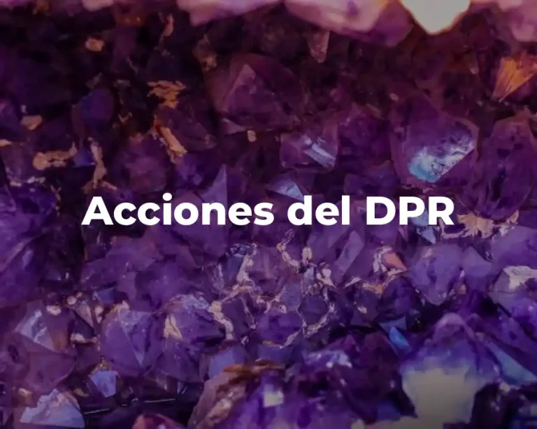 Acciones del DPR