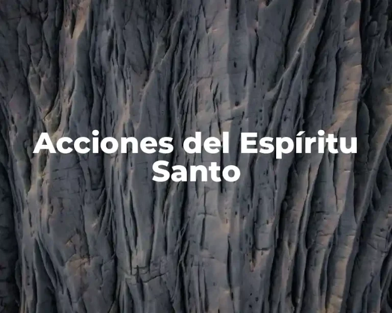 Acciones del Espíritu Santo