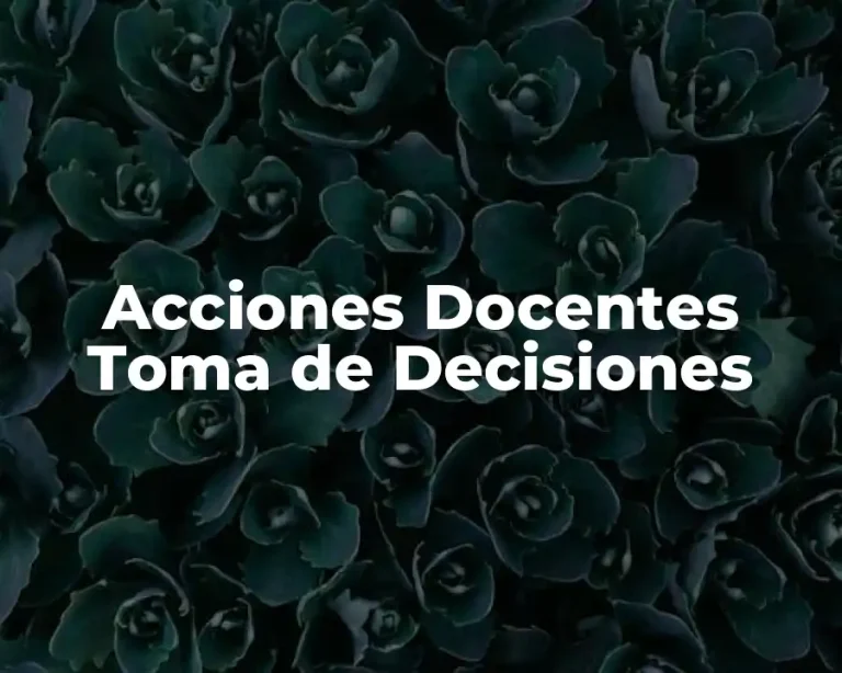 Acciones Docentes Toma de Decisiones