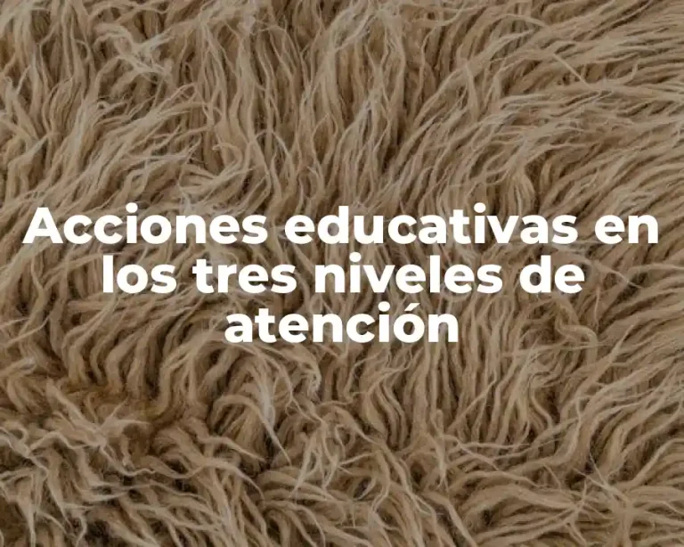 Acciones educativas en los tres niveles de atención