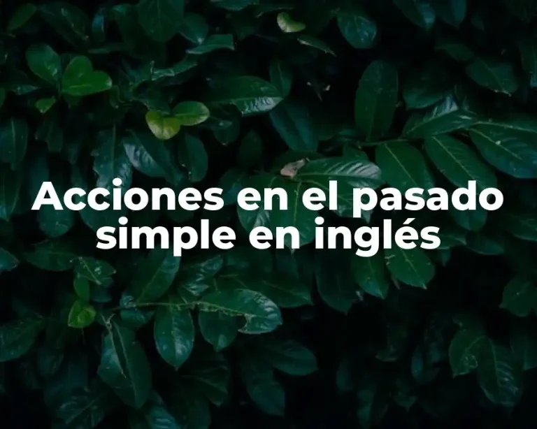 Acciones en el pasado simple en inglés
