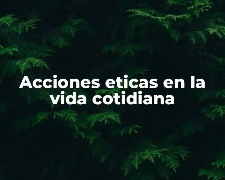 Acciones eticas en la vida cotidiana