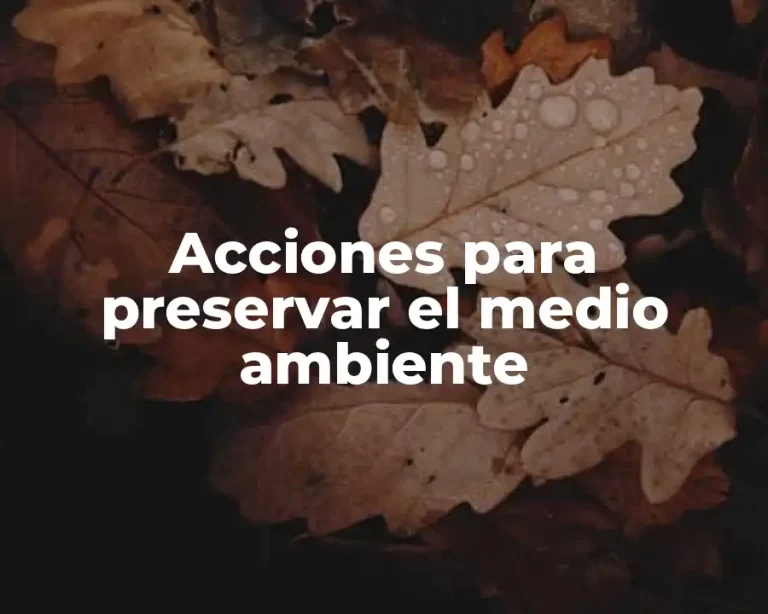 Acciones para preservar el medio ambiente