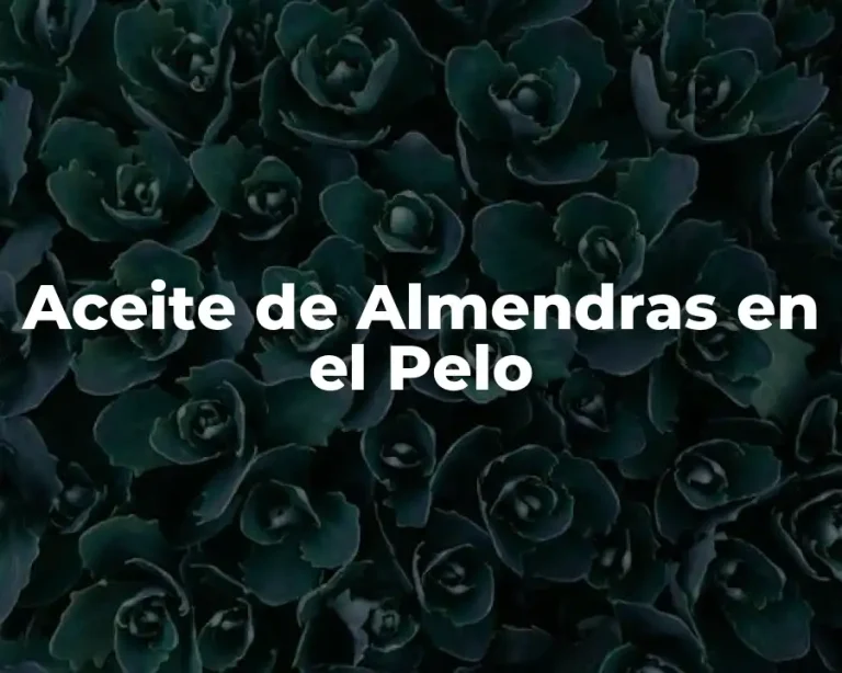 Aceite de Almendras en el Pelo