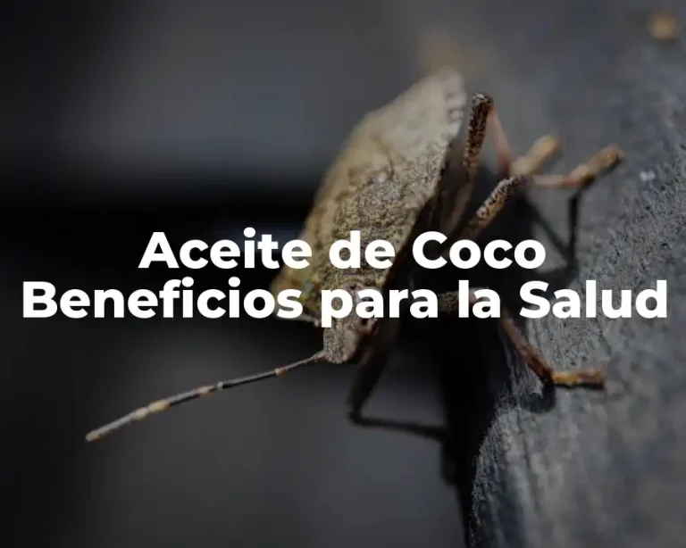 Aceite de Coco Beneficios para la Salud