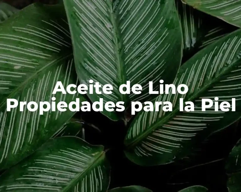 Aceite de Lino Propiedades para la Piel