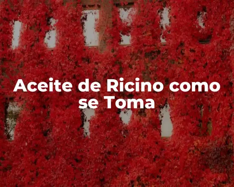 Aceite de Ricino como se Toma