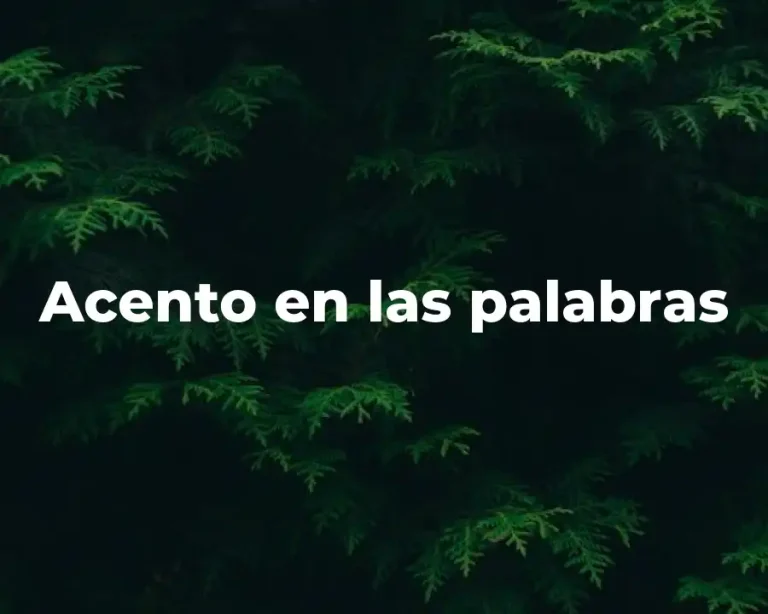 Acento en las palabras