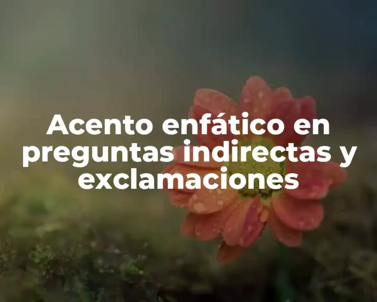 Acento enfático en preguntas indirectas y exclamaciones