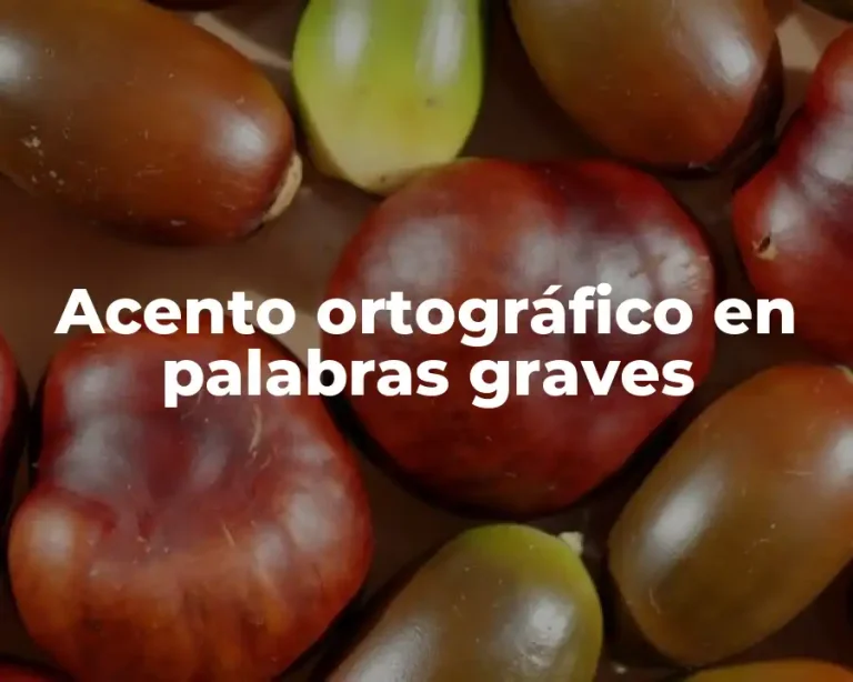 Acento ortográfico en palabras graves