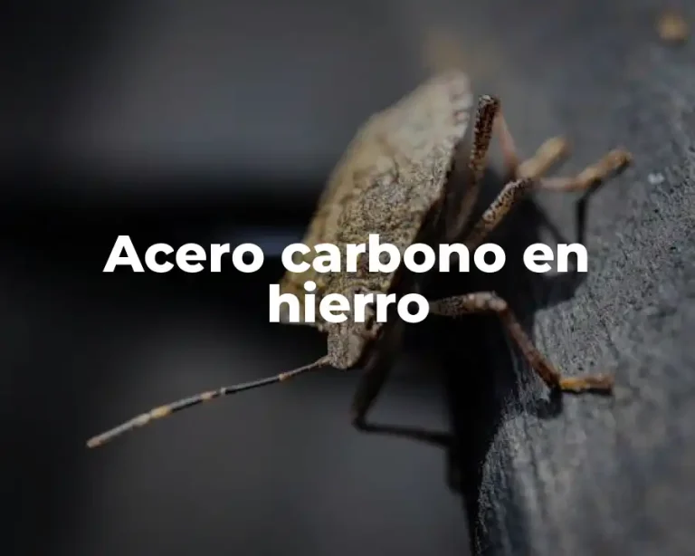 Acero carbono en hierro