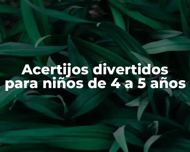 Acertijos divertidos para niños de 4 a 5 años