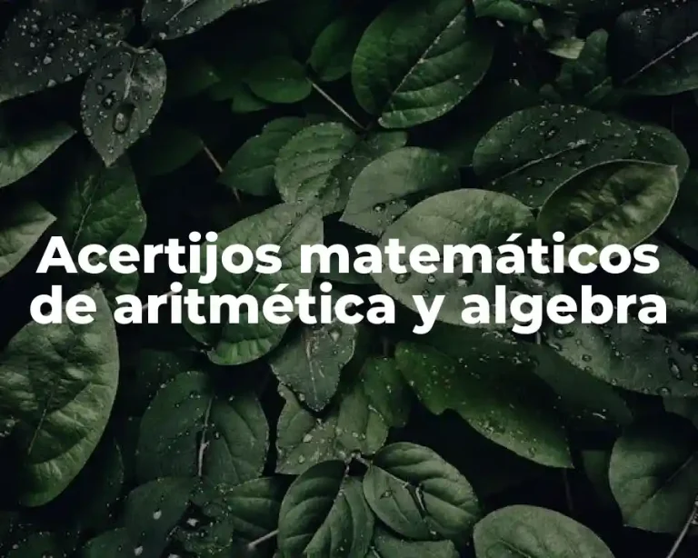 Acertijos matemáticos de aritmética y algebra