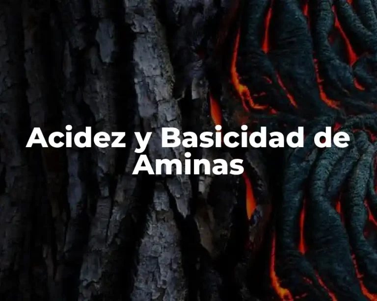 Acidez y Basicidad de Aminas