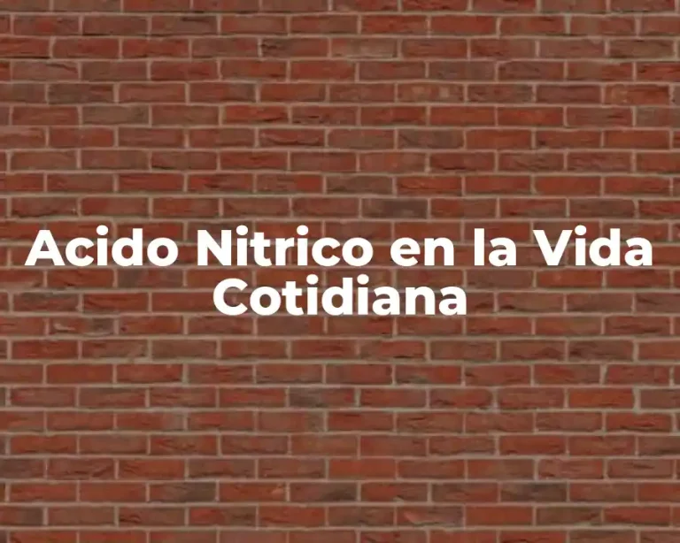 Acido Nitrico en la Vida Cotidiana
