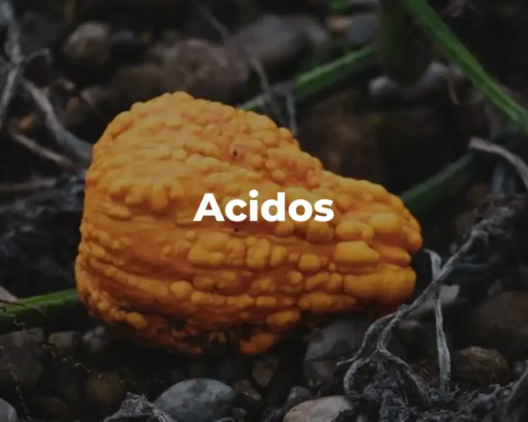 Acidos