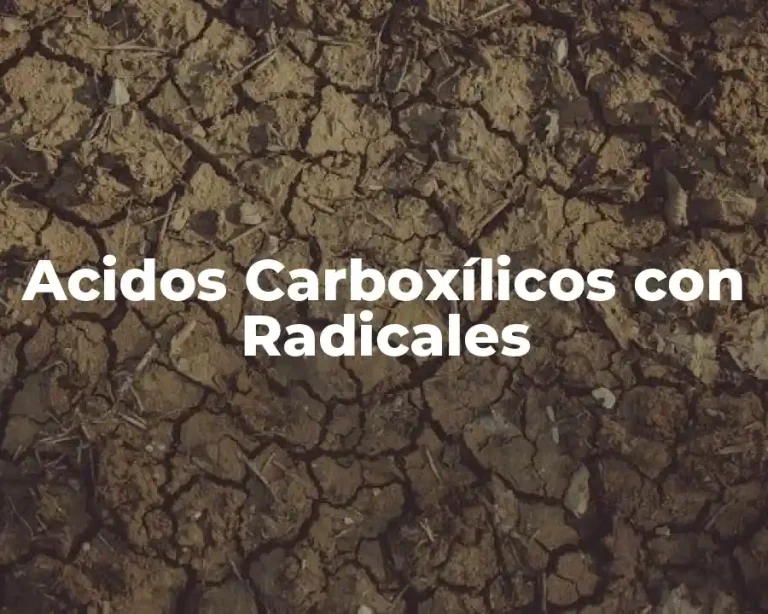 Acidos Carboxílicos con Radicales
