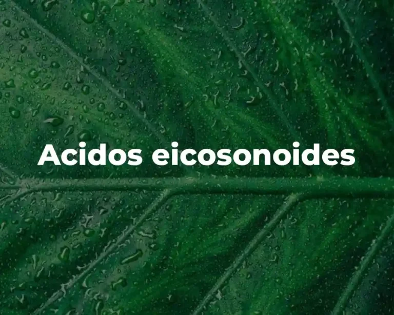 Acidos eicosonoides