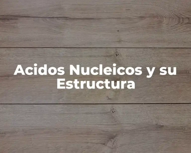 Acidos Nucleicos y su Estructura