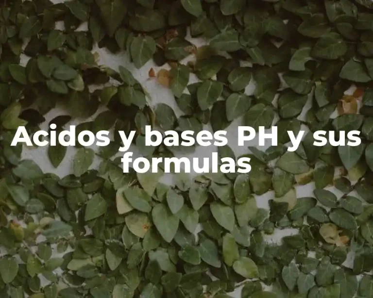 Acidos y bases PH y sus formulas