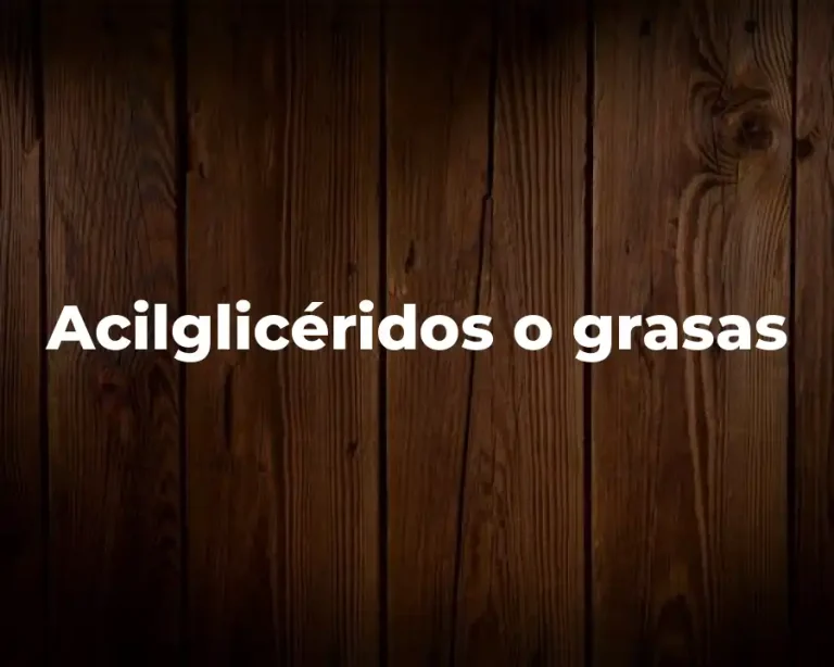 Acilglicéridos o grasas