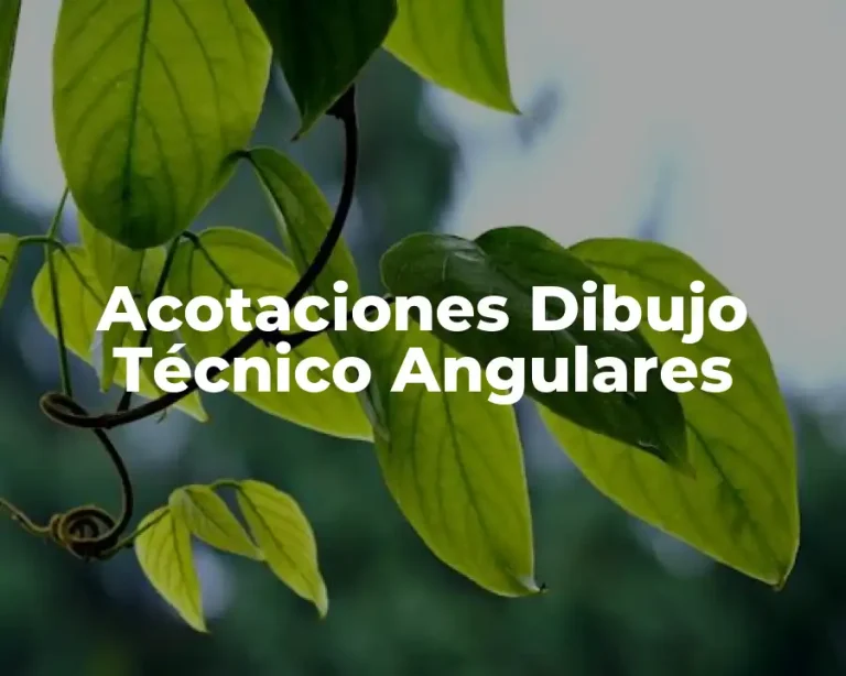 Acotaciones Dibujo Técnico Angulares