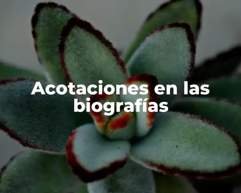 Acotaciones en las biografías