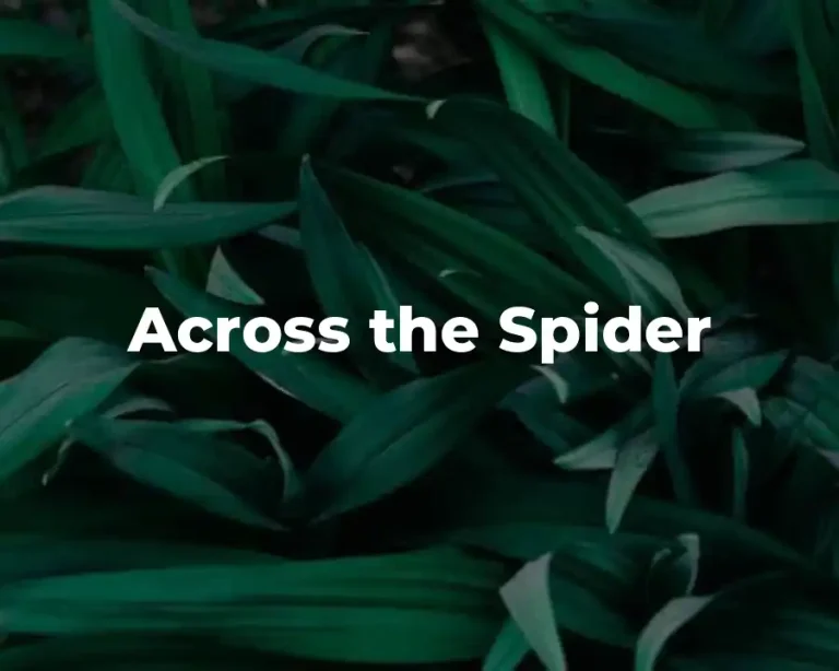 Across the Spider