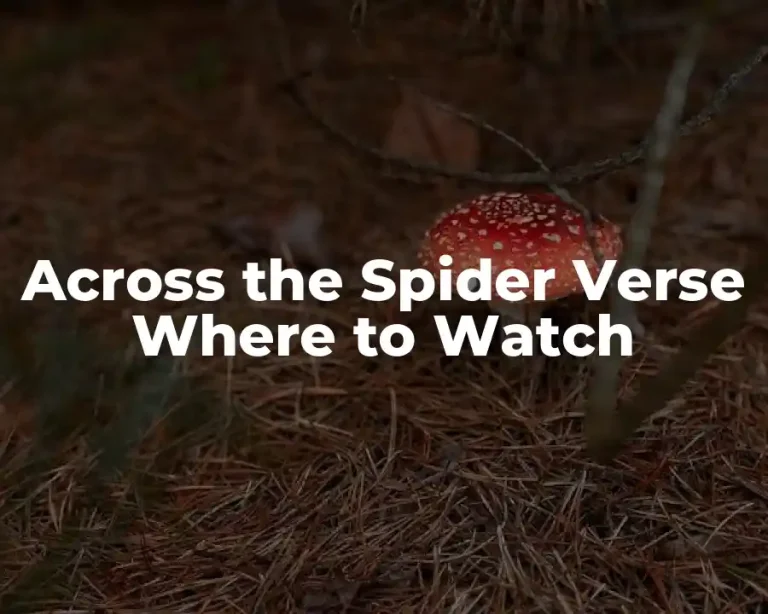 Across the Spider Verse Where to Watch