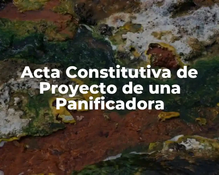 Acta Constitutiva de Proyecto de una Panificadora