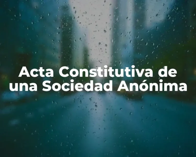 Acta Constitutiva de una Sociedad Anónima