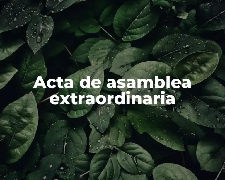Acta de asamblea extraordinaria