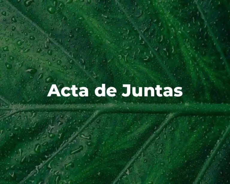 Acta de Juntas