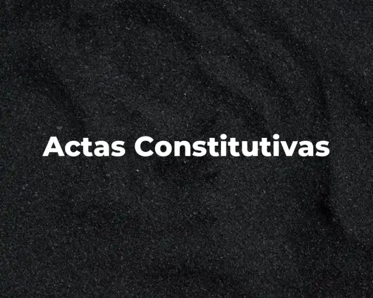Actas Constitutivas