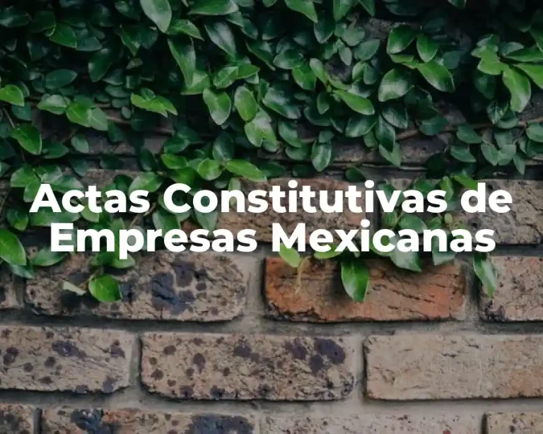 Actas Constitutivas de Empresas Mexicanas