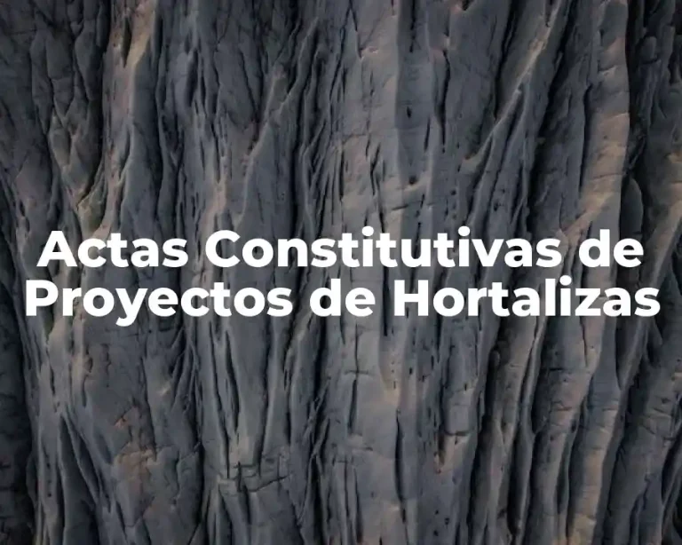 Actas Constitutivas de Proyectos de Hortalizas