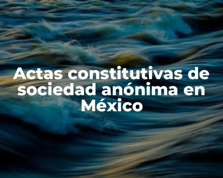 Actas constitutivas de sociedad anónima en México