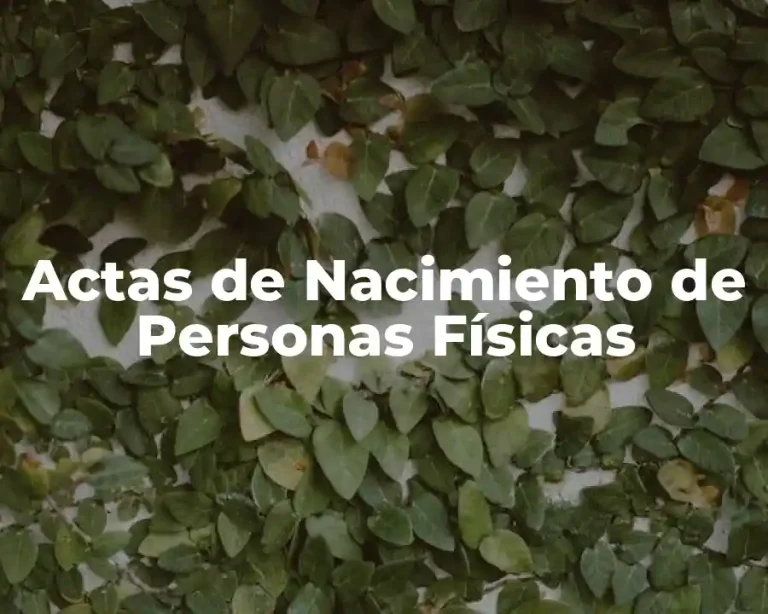 Actas de Nacimiento de Personas Físicas