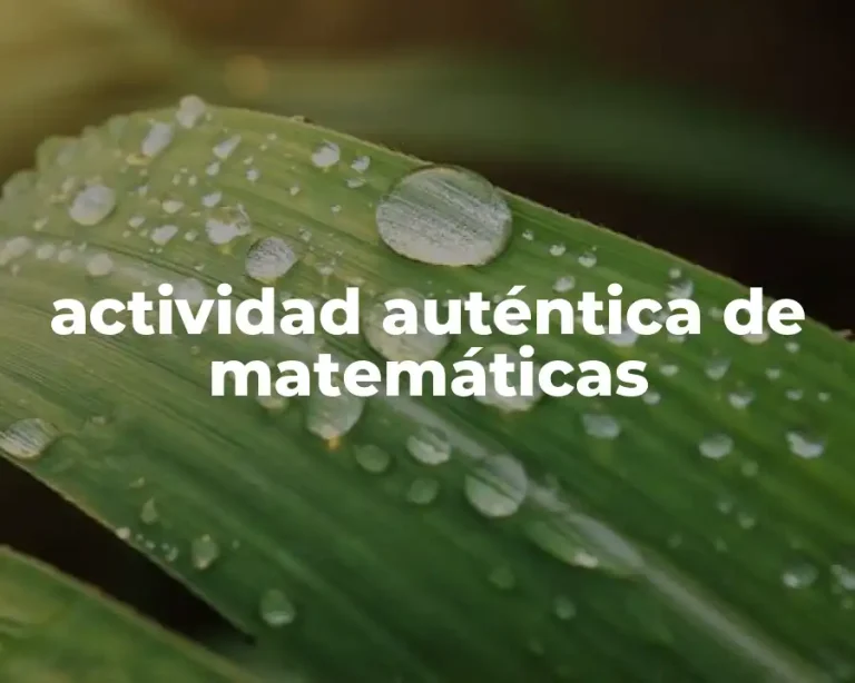 actividad auténtica de matemáticas