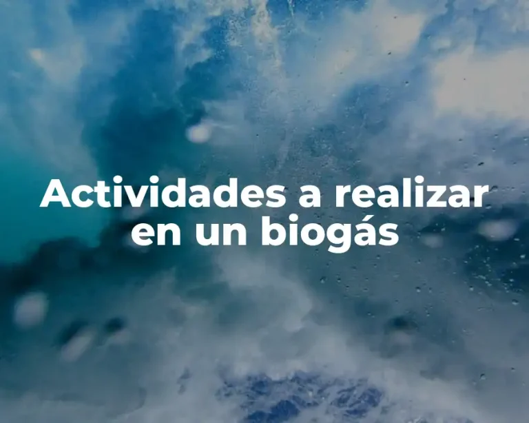 Actividades a realizar en un biogás
